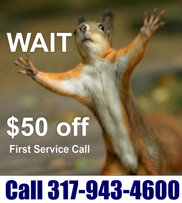 Call Affordable Telephones – 317-943-4600